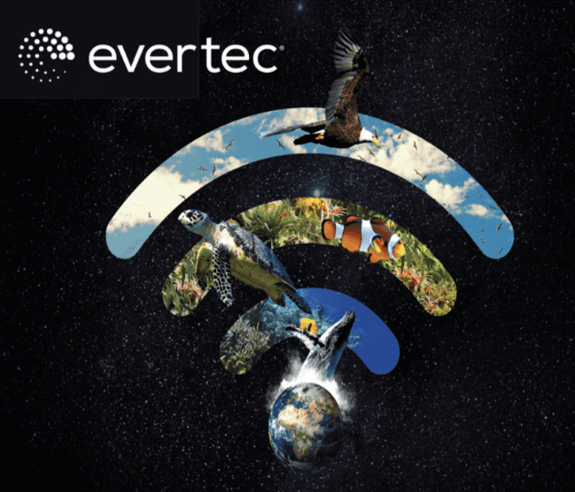 DCC, transaction choices for consumers